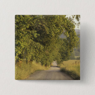 USA, Tennessee, Great Smoky Mountains National 2 Button