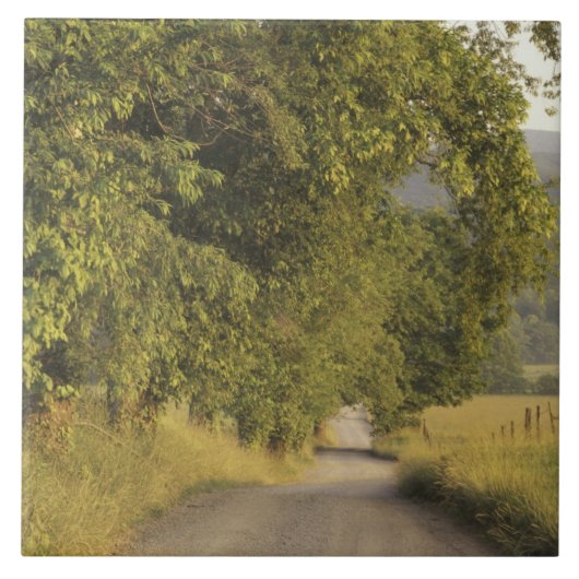 USA, Tennessee, Great Smoky Mountains National 2 Fliese (Vorderseite)