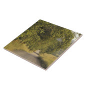 USA, Tennessee, Great Smoky Mountains National 2 Fliese (Seite)