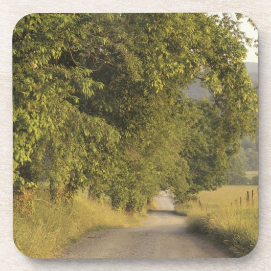 USA, Tennessee, Great Smoky Mountains National 2 Getränkeuntersetzer (Vorderseite)