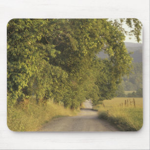 USA, Tennessee, Great Smoky Mountains National 2 Mousepad