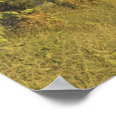 USA, Tennessee, Great Smoky Mountains National 2 Poster (Ecke)