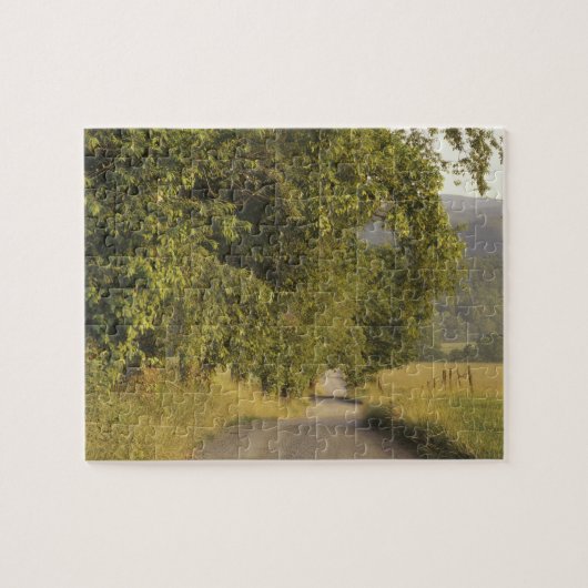 USA, Tennessee, Great Smoky Mountains National 2 Puzzle (Horizontal)