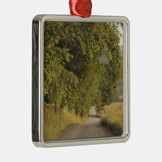 USA, Tennessee, Great Smoky Mountains National 2 Silbernes Ornament (Rechts)