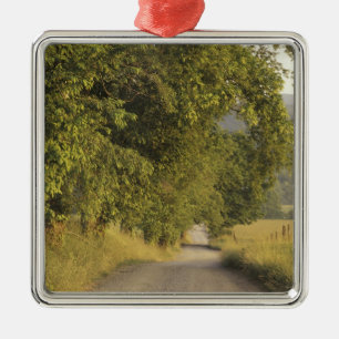 USA, Tennessee, Great Smoky Mountains National 2 Silbernes Ornament