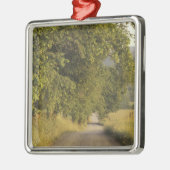 USA, Tennessee, Great Smoky Mountains National 2 Silbernes Ornament (Links)