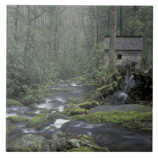 USA, Tennessee, Great Smoky Mountains National 3 Fliese (Vorderseite)