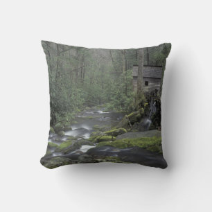 USA, Tennessee, Great Smoky Mountains National 3 Kissen