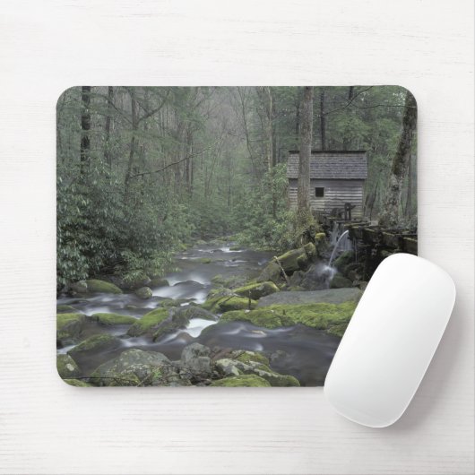 USA, Tennessee, Great Smoky Mountains National 3 Mousepad (Mit Mouse)