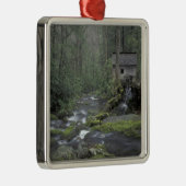 USA, Tennessee, Great Smoky Mountains National 3 Silbernes Ornament (Rechts)