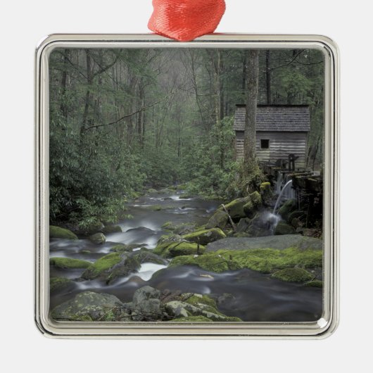 USA, Tennessee, Great Smoky Mountains National 3 Silbernes Ornament (Vorne)