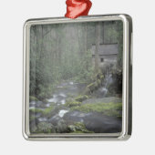 USA, Tennessee, Great Smoky Mountains National 3 Silbernes Ornament (Links)