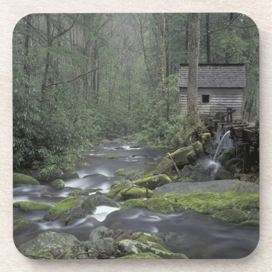 USA, Tennessee, Great Smoky Mountains National 3 Untersetzer (Vorderseite)