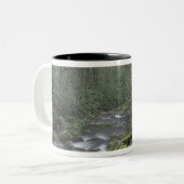USA, Tennessee, Great Smoky Mountains National 3 Zweifarbige Tasse (Vorderseite Links)