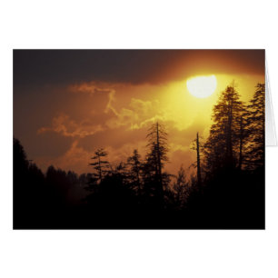 USA, Tennessee, Great Smoky Mountains NP 2