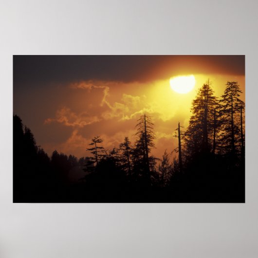 USA, Tennessee, Great Smoky Mountains NP 2 Poster (Vorne)