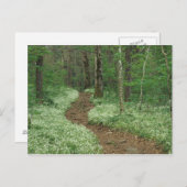 USA, Tennessee, Great Smoky Mountains, NP, 3 Postkarte (Vorne/Hinten)