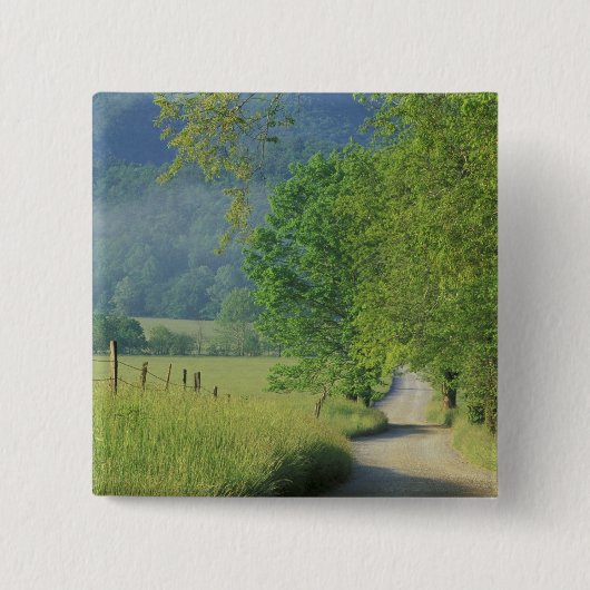 USA, Tennessee, Great Smoky Mountains NP, Button (Vorderseite)