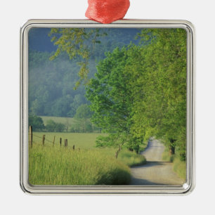 USA, Tennessee, Great Smoky Mountains NP, Ornament Aus Metall