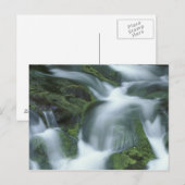 USA, Tennessee, Great Smoky Mountains NP. Postkarte (Vorne/Hinten)