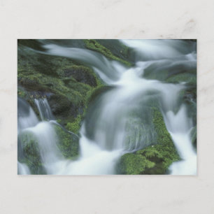 USA, Tennessee, Great Smoky Mountains NP. Postkarte