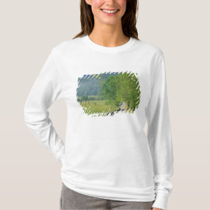 USA, Tennessee, Great Smoky Mountains NP, T-Shirt