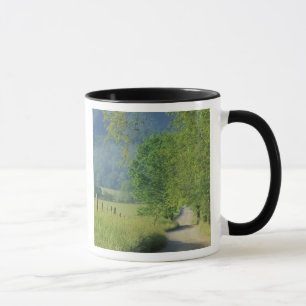 USA, Tennessee, Great Smoky Mountains NP, Tasse