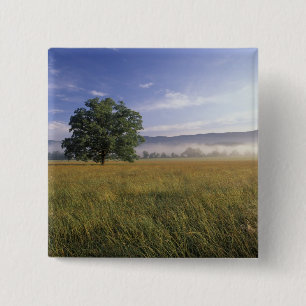 USA, Tennessee. Große Smokey-Berge Button