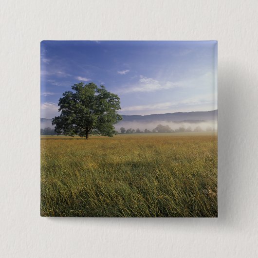 USA, Tennessee. Große Smokey-Berge Button (Vorderseite)