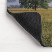 USA, Tennessee. Große Smokey-Berge Mousepad (Ecke)