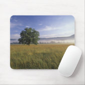 USA, Tennessee. Große Smokey-Berge Mousepad (Mit Mouse)