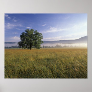USA, Tennessee. Große Smokey-Berge Poster