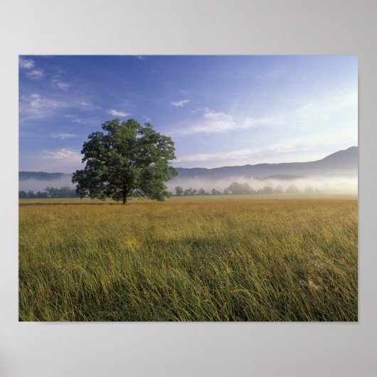 USA, Tennessee. Große Smokey-Berge Poster (Vorne)