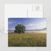 USA, Tennessee. Große Smokey-Berge Postkarte (Vorne/Hinten)