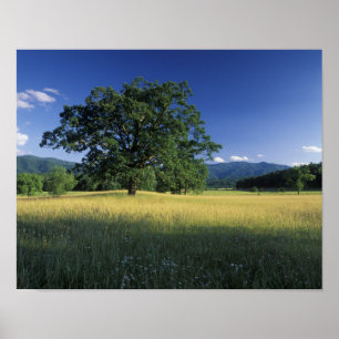 USA, Tennessee. Große Smokey Mountains 2 Poster