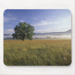 USA, Tennessee. Große Smokey Mountains Mousepad