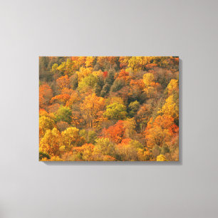 USA, Tennessee. Herbstlaub 2 Leinwanddruck