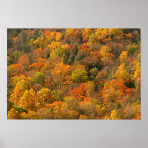 USA, Tennessee. Herbstlaub 2 Poster