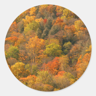 USA, Tennessee. Herbstlaub 2 Runder Aufkleber