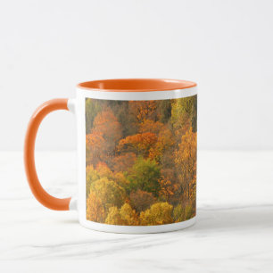 USA, Tennessee. Herbstlaub 2 Tasse