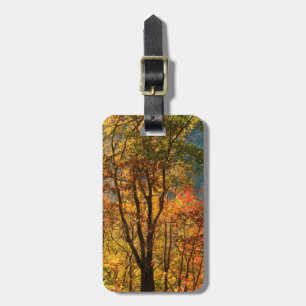 USA, Tennessee. Herbstlaub Gepäckanhänger