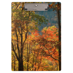 USA, Tennessee. Herbstlaub Klemmbrett