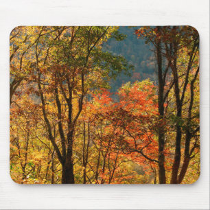 USA, Tennessee. Herbstlaub Mousepad