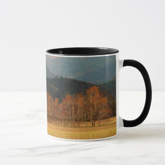 USA, Tennessee. Höhlenberge in Smoky Tasse (Rechts)