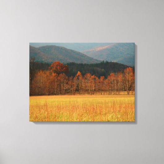 USA, Tennessee. Höhlenlandschaft im rauen Berg Leinwanddruck (Vorderseite)