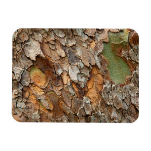 USA, Tennessee, Nah von Rinde auf einem Baum Magnet