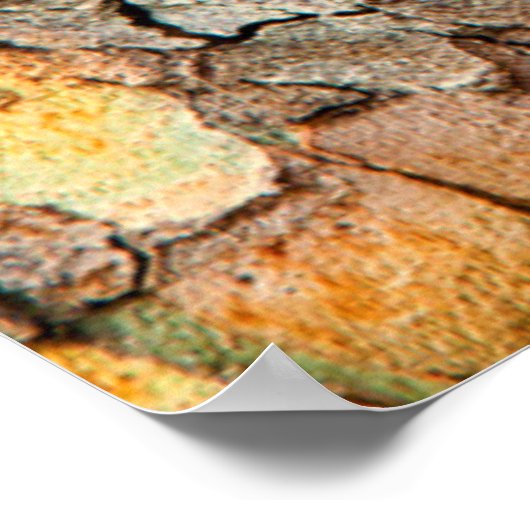 USA, Tennessee, Nah von Rinde auf einem Baum Poster (Ecke)