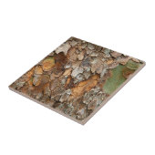 USA, Tennessee, Naher Bachstand auf einem Baum Fliese (Seite)