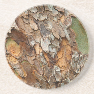 USA, Tennessee, Naher Bachstand auf einem Baum Getränkeuntersetzer