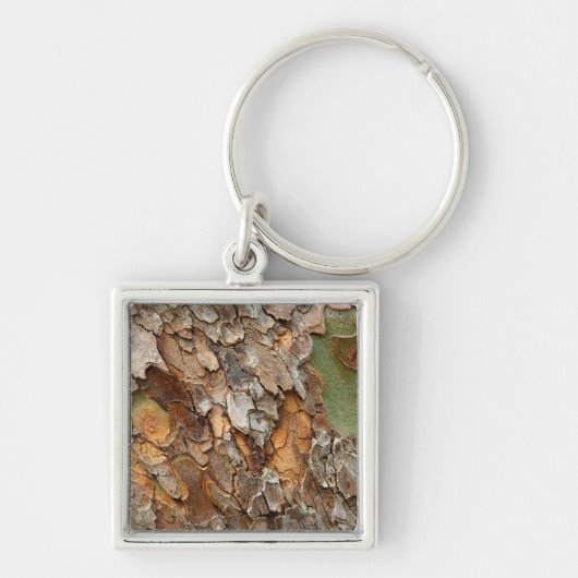 USA, Tennessee, Naher Bachstand auf einem Baum Schlüsselanhänger (Vorne)